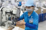 Quảng Nam: Đẩy mạnh công tác lao động, việc làm và giáo dục nghề nghiệp