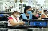 Quảng Ninh: Quan tâm tạo việc làm cho người lao động