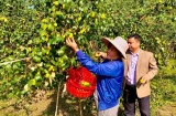 Huyện Phong Thổ: Đặt mục tiêu đến 2025, giảm tỷ lệ huyện nghèo xuống còn 27,02%