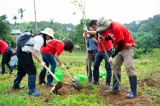 Trồng 200 cây Phong Linh tại khu vực vùng đệm Vườn quốc gia Ba Vì