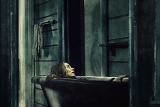 A Quiet Place: trận chiến khốc liệt giữa nỗi sợ hãi và tình yêu thương