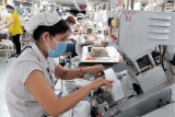 Khánh Hòa chi 177 tỉ đồng hỗ trợ người lao động tự do