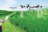 Ứng dụng khoa học công nghệ và đổi mới sáng tạo hướng tới phát triển nông nghiệp bền vững 