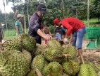 Huyện Khánh Sơn (Khánh Hòa): Triển khai đồng bộ các giải pháp giảm nghèo bền vững