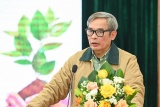 Bàn chính sách phù hợp thực tiễn cho sản xuất, phát triển bền vững ngành giống cây trồng Việt Nam