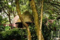 Homestay trên cây ở ngoại thành Hà Nội