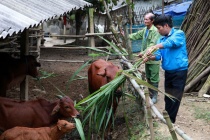 Cần nhiều giải pháp tạo việc làm tại chỗ cho lao động trẻ ở miền núi