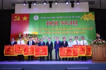 Tập đoàn Công nghiệp Cao su Việt Nam:Vượt qua khó khăn để hoàn thành xuất sắc các chỉ tiêu