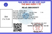 BHXH Việt Nam: Cấp thẻ BHYT mẫu mới từ ngày 1/4/2020