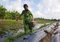 Huyện Trần Văn Thời (Cà Mau): Hướng đến mục tiêu giảm nghèo bền vững