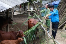 Yên Bái tập trung nguồn lực cho công tác giảm nghèo ở huyện 30a