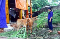 Nghệ An: Tập trung triển khai và đảm bảo tiến độ giải ngân nguồn vốn các Chương trình giảm nghèo