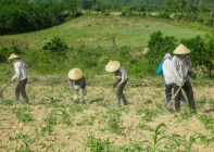 Quảng Ngãi: Đẩy mạnh công tác tuyên truyền, kiểm tra giám sát Chương trình mục tiêu quốc gia giảm nghèo