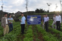Huyện Mai Sơn: Tập trung thực hiện hiệu quả chính sách đào tạo nghề cho lao động nông thôn