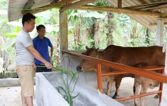 Phú Thọ tuyên truyền khơi dậy ý chí vươn lên thoát nghèo của người dân