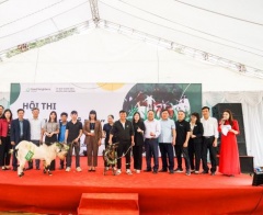 Độc đáo Hội thi “Dê khỏe – Dê đẹp” tại huyện Sơn Dương 