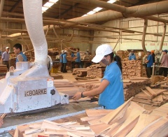 Xuất khẩu gỗ và sản phẩm gỗ của Việt Nam sang EU trong bối cảnh thực thi EVFTA: Cơ hội và thách thức            