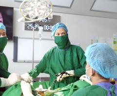 Tuần Lễ Vàng 2024 tại Bệnh viện Nam học và Hiếm muộn Hà Nội: Thắp sáng ước mơ gia đình hiếm muộn
