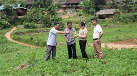 Nỗ lực giảm nghèo ở huyện vùng biên Trùng Khánh - Cao Bằng