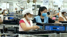 Quảng Ninh: Quan tâm tạo việc làm cho người lao động