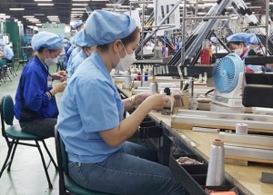 Đà Nẵng có gần 321.000 lao động làm việc tại 24.552 doanh nghiệp