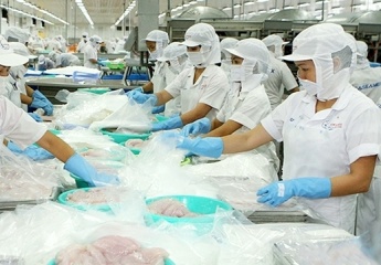 ILO welcomes European Parliament’s approval for free trade deal with Vietnam