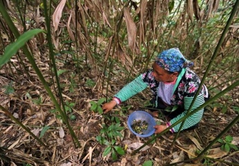 Vietnam achieves poverty reduction goals