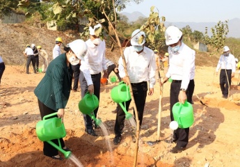 EVN tổ chức phát động hưởng ứng “Tết trồng cây” năm 2021