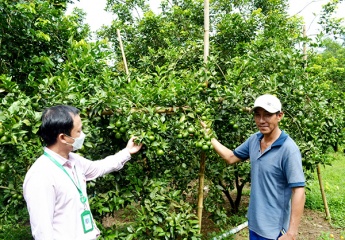 Quảng Nam: Phát triển kinh tế nhờ vay vốn giải quyết việc làm