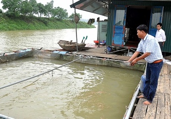 Nam Định: Một số khó khăn trong công tác đào tạo nghề cho lao động nông thôn, người nghèo, lao động có thu nhập thấp 