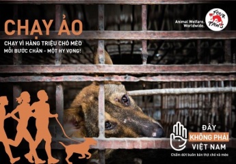 Phát động giải chạy trực tuyến nhằm chấm dứt tình trạng buôn bán thịt chó, mèo   