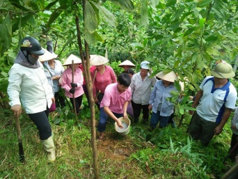 Hà Giang quan tâm tạo việc làm cho người dân tộc thiểu số 