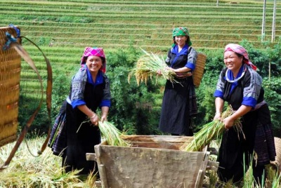 Vietnam successful in reducing multidimensional poverty: UNDP